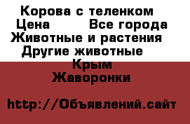 Корова с теленком › Цена ­ 69 - Все города Животные и растения » Другие животные   . Крым,Жаворонки